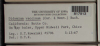 Image Associated With the Occurence